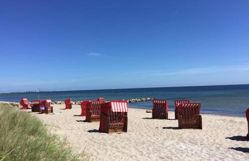 Strandläufer - Foto 28