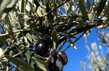 Rambla Retreats Apartment Rojo with shared pool & hot tub Stunning views in Oria - Foto 50