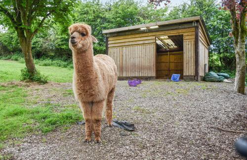 Birch Lodge - Uk30006 - Foto 35