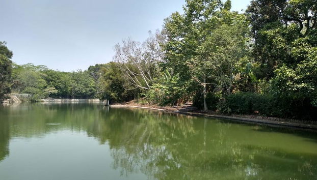 Excursión de un día a Xalapa - Foto 5