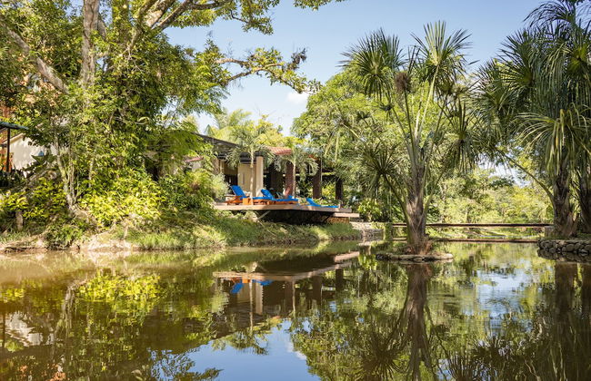 Hacienda Boutique - Photo 79