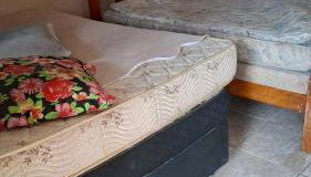 Sítio Recanto do Sossego - Foto 3