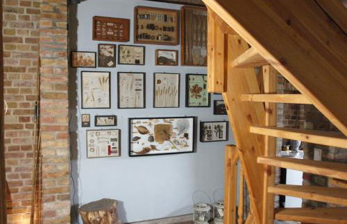 Natur erleben und Ruhe genießen - Foto 6