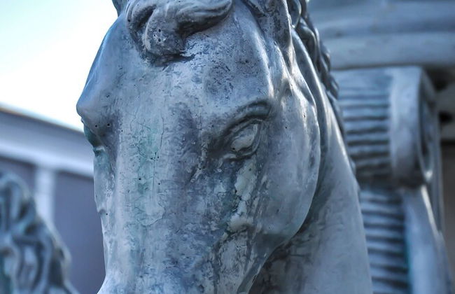 ROEL Residence Apartments - Photo 78