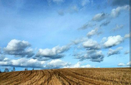 W starej szkole - agroturystyka - Foto 63