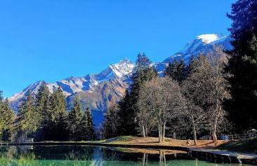 Chalet des Ours - 2 appartements 4 étoiles premium - 5 ou 6 personnes - Photo 53