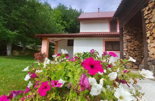 Holiday House Trnovac - Photo 31