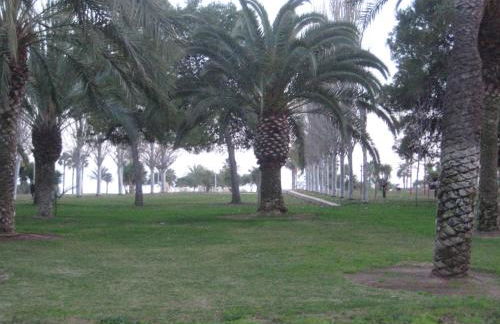 Apartamento Illa Mar - Foto 38