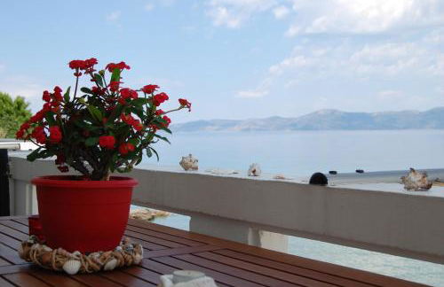 Asmini Studios - Foto 47