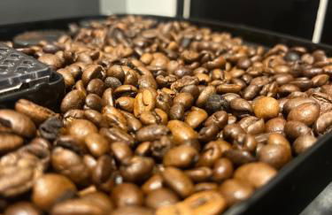 Piscine & Spa - Foto 9