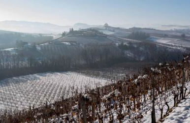 La Picchiera - Appartamento Silvio - Photo 20