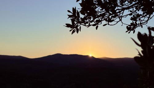 Villa provençale La Banisté - Foto 2