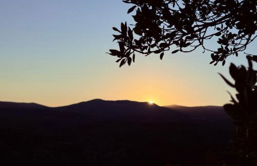 Villa provençale La Banisté - Foto 2