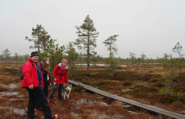 Tallinn Snowshoe Hiking Tour - Foto 7