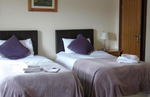 Pwllgwilym B & B - Foto 16