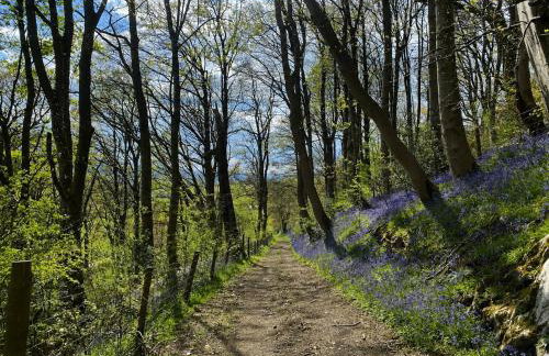 Plas yn iâl with stunning mountain views - Foto 17