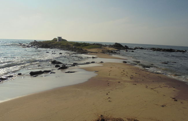 Eagle Homestay - Foto 19