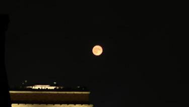 Charming Parisian apartment - Foto 3