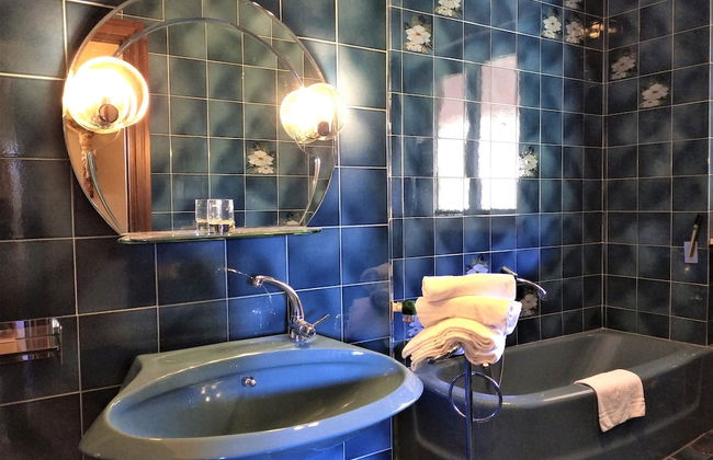 Pettirosso - Photo 23