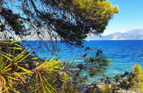 Charmant T3 avec Vue Panoramique sur la Mer, Terrasse, Piscine et à seulement 300m de la plage de la Roya - Foto 21