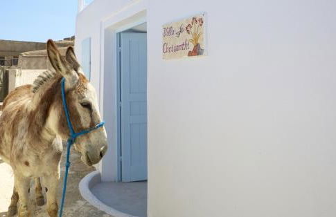 Chrisanthi Villa - Foto 35