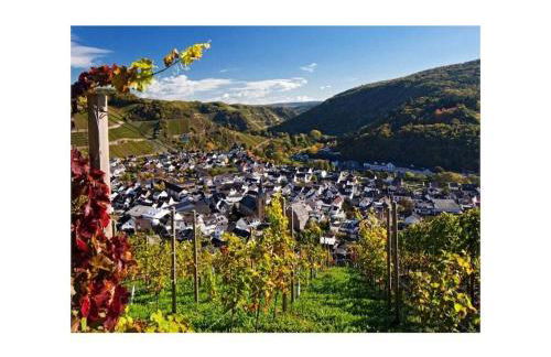 Villa Näkel-Sonnenberg - Foto 5