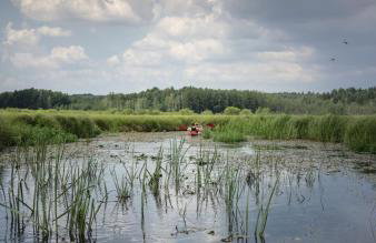 Miły Młyn - Foto 37