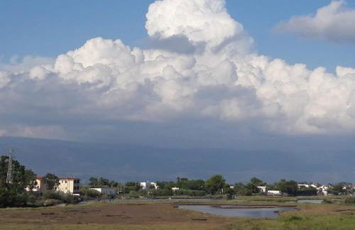 L'Orto di MiLa - Foto 31
