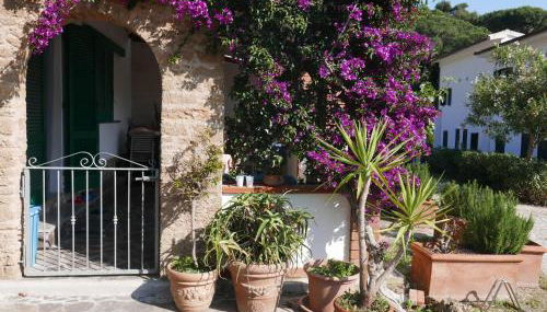 Residence Augusto - Foto 2