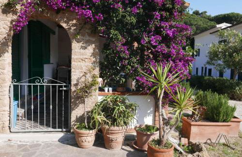 Residence Augusto - Foto 2