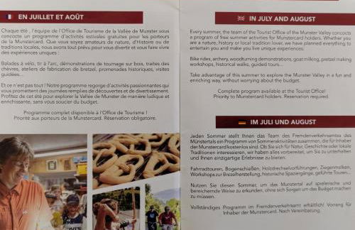 Grand Mobil Home 6 personnes climatisé avec 3 chambres et 2 salles de bains à Munster en Alsace - Foto 23