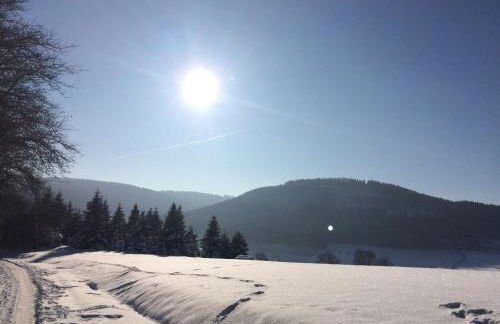 Nurdachhaus Sauerland - Foto 23