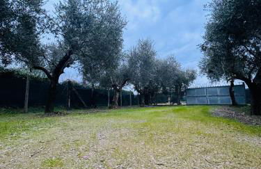 La Perla di Dea - Foto 14