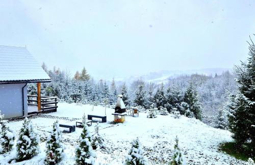 Bieszczadzka Pauza - Foto 33