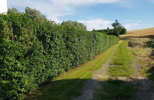 maison moderne à la campagne - Foto 21