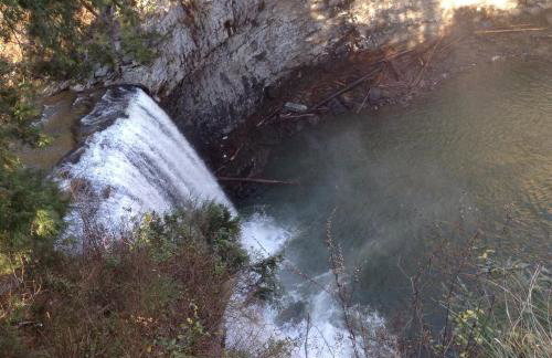 The Bird House near Fall Creek Falls State Park - Foto 30