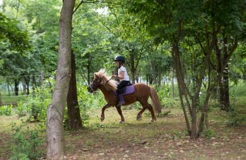 Agriturismo Borg da Ocjs - Photo 7