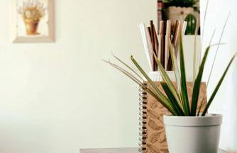 Tosca's House - Foto 56