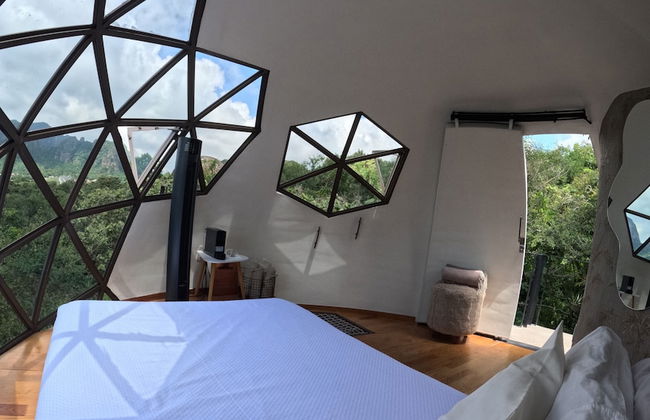 Bosque Geométrico - Foto 11