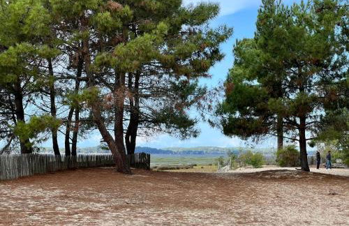 BASSIN D'ARCACHON, Maison vacances climatisée au calme, proche plage - Foto 52