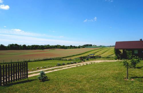 Domek w polu - Foto 23