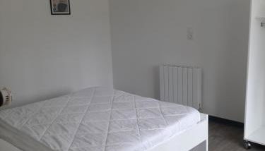 Appartement T1 bis proche centre ville - Foto 2