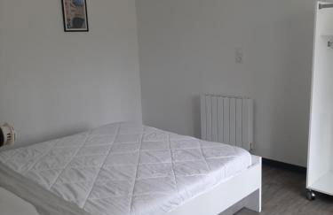 Appartement T1 bis proche centre ville - Foto 2