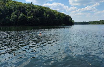 Piotiwo D1 - Foto 16