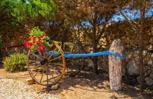 La Paloma De Sa Torre Marina - Foto 23