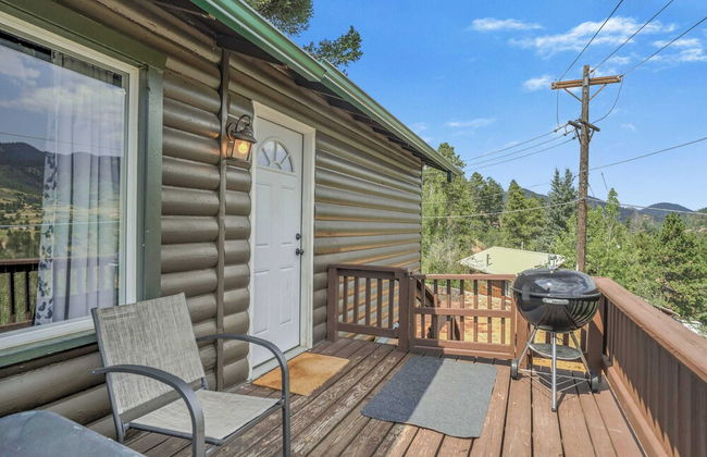 3BD Cowboy Cabin Pikes Peak Mountain Log Cabin - Photo 44