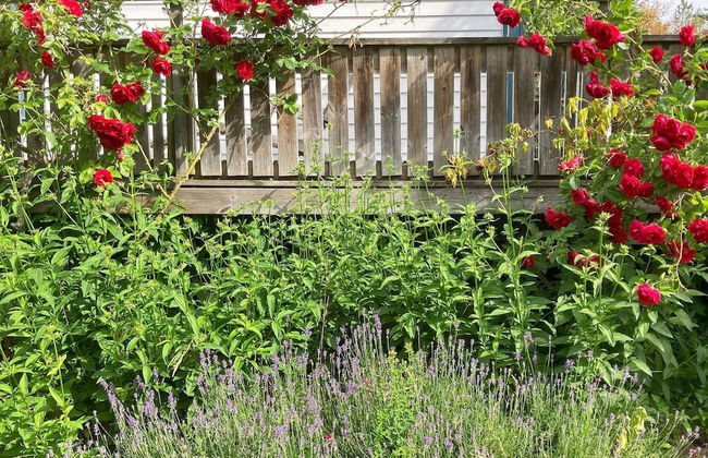 7 Person Holiday Home in Nosund - Foto 22