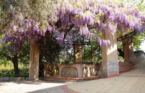 Antico Borgo Etneo Country Hotel - Foto 26