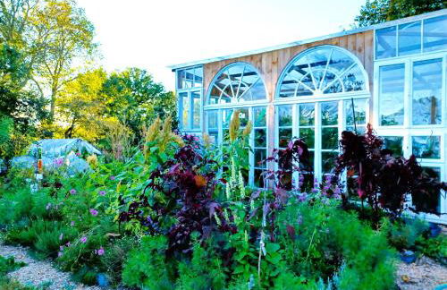 Schlossblick Apartment für 4 mit Küche Kamin Netflix Parken und Hofladen - Foto 40