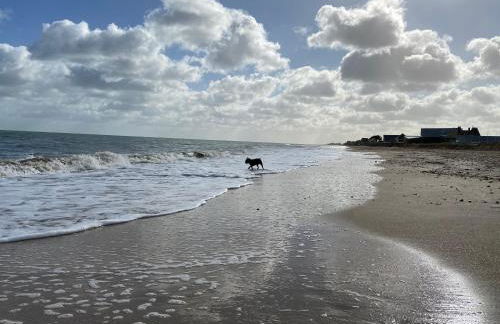 Au logis de Abi - Foto 76